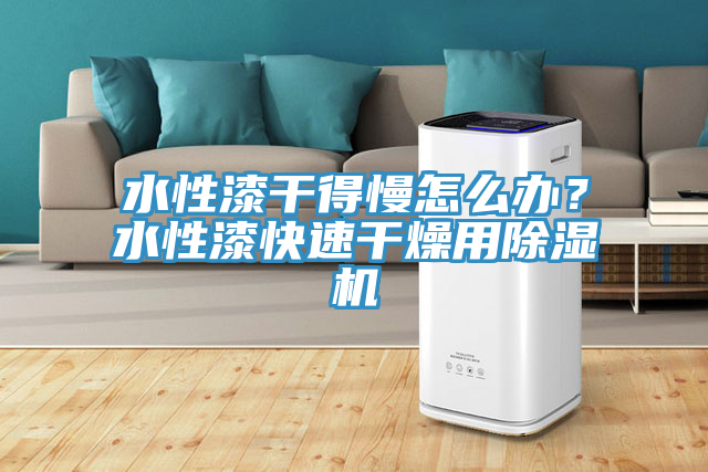水性漆干得慢怎么辦？水性漆快速干燥用除濕機