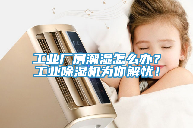 工業(yè)廠房潮濕怎么辦？工業(yè)除濕機(jī)為你解憂！