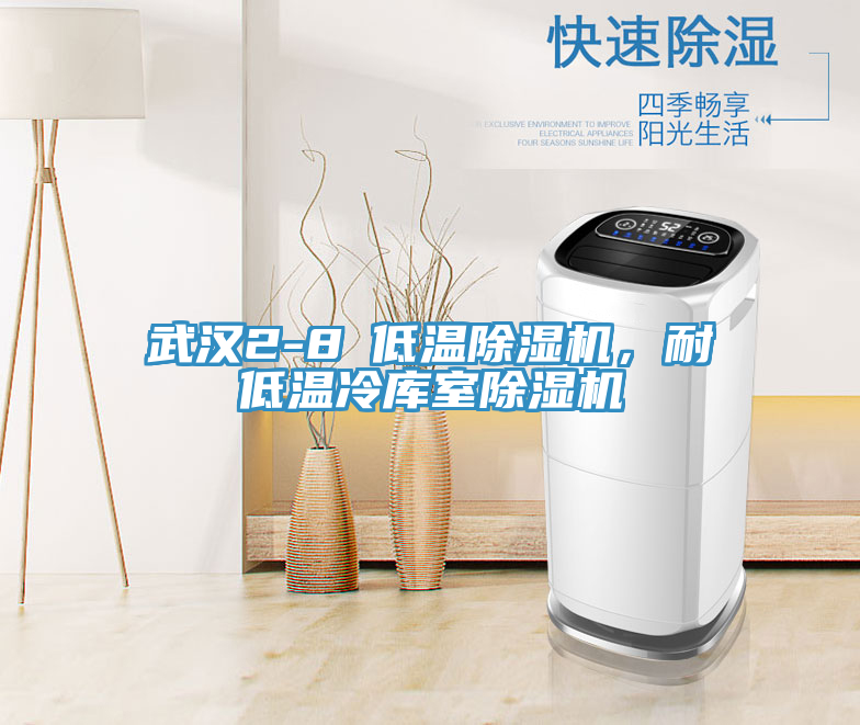 武漢2-8℃低溫除濕機(jī)，耐低溫冷庫(kù)室除濕機(jī)