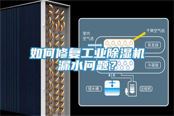 如何修復工業(yè)除濕機漏水問題？