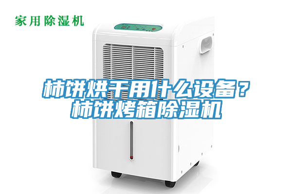 柿餅烘干用什么設(shè)備？柿餅烤箱除濕機(jī)