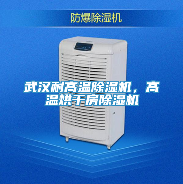 武漢耐高溫除濕機，高溫烘干房除濕機