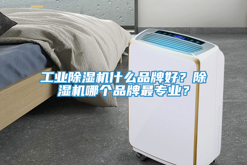 工業(yè)除濕機(jī)什么品牌好？除濕機(jī)哪個(gè)品牌最專業(yè)？
