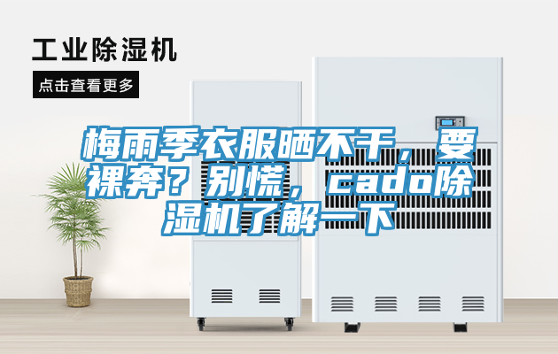 梅雨季衣服曬不干，要裸奔？別慌，cado除濕機(jī)了解一下