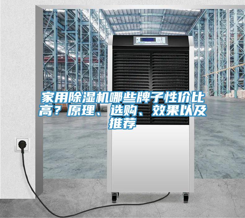家用除濕機(jī)哪些牌子性價(jià)比高？原理、選購(gòu)、效果以及推薦