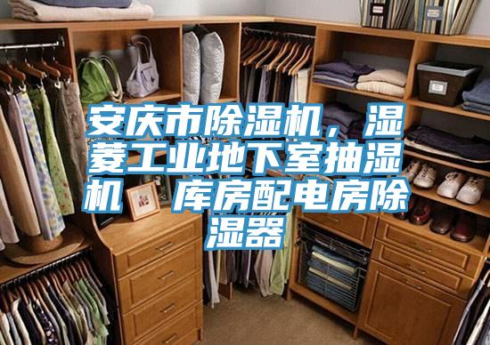 安慶市除濕機(jī)，濕菱工業(yè)地下室抽濕機(jī)  庫房配電房除濕器