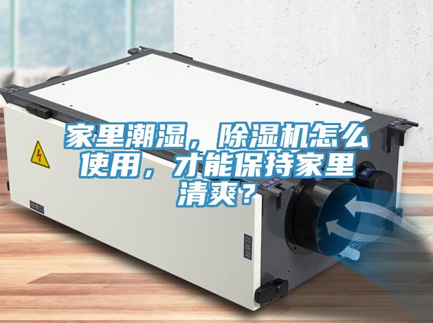 家里潮濕，除濕機(jī)怎么使用，才能保持家里清爽？
