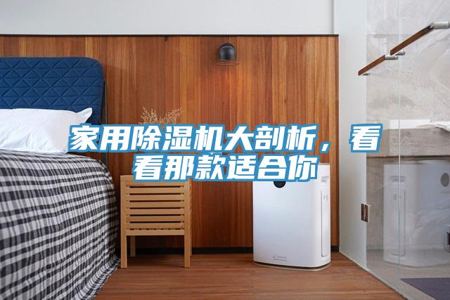 家用除濕機大剖析，看看那款適合你