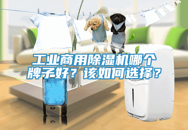 工業(yè)商用除濕機哪個牌子好？該如何選擇？