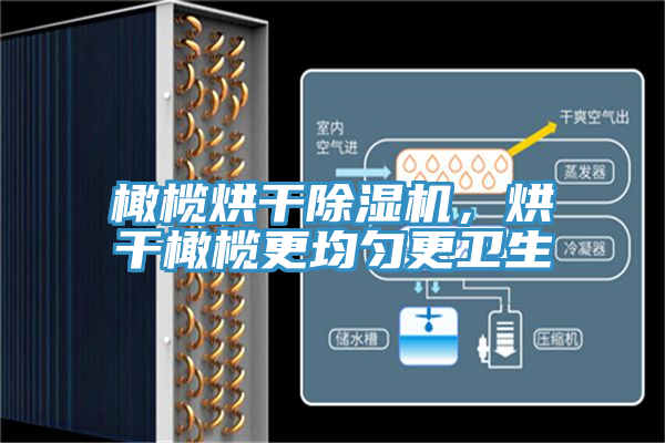 橄欖烘干除濕機(jī)，烘干橄欖更均勻更衛(wèi)生