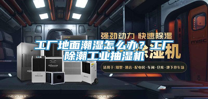工廠地面潮濕怎么辦？工廠除潮工業(yè)抽濕機(jī)