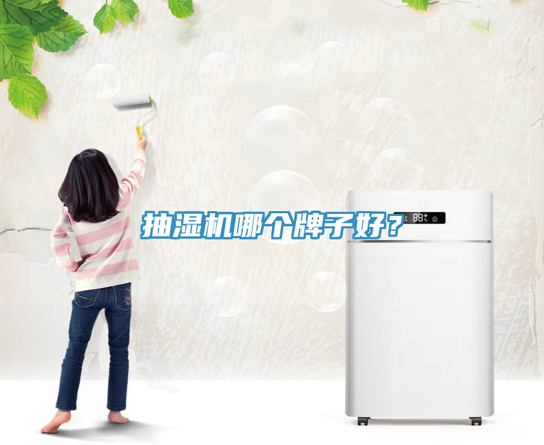 抽濕機(jī)哪個(gè)牌子好？