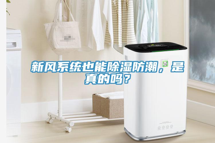 新風(fēng)系統(tǒng)也能除濕防潮，是真的嗎？