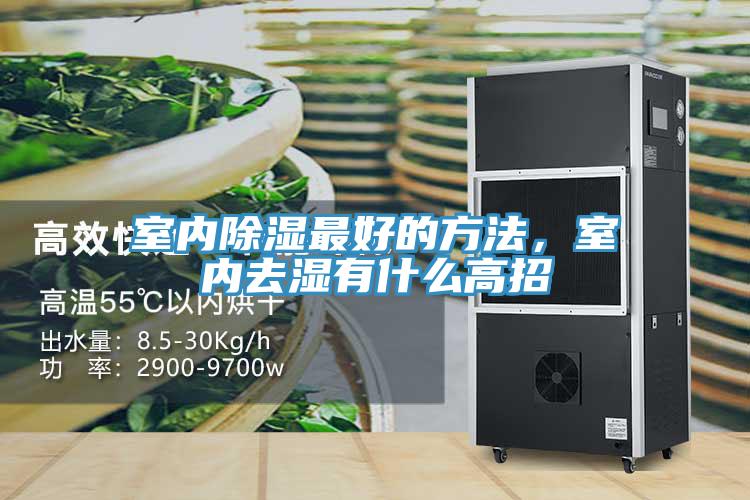 室內(nèi)除濕最好的方法，室內(nèi)去濕有什么高招