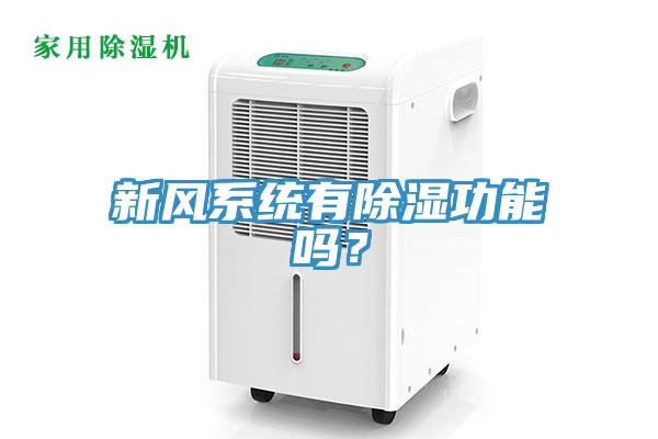 新風(fēng)系統(tǒng)有除濕功能嗎？