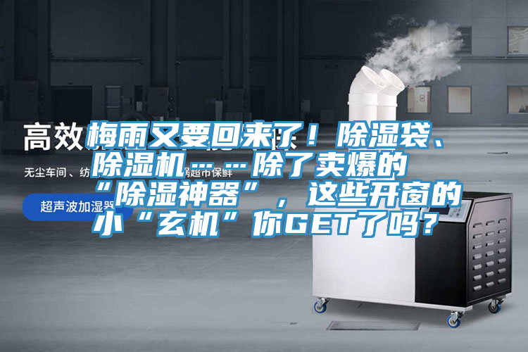 梅雨又要回來了！除濕袋、除濕機……除了賣爆的“除濕神器”，這些開窗的小“玄機”你GET了嗎？