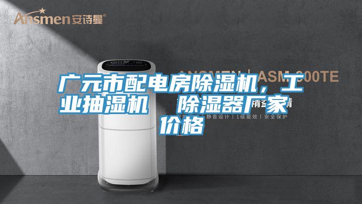 廣元市配電房除濕機，工業(yè)抽濕機  除濕器廠家 價格