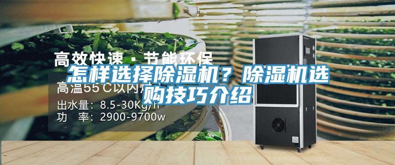 怎樣選擇除濕機(jī)？除濕機(jī)選購技巧介紹