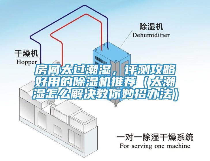 房間太過潮濕，評測攻略好用的除濕機(jī)推薦（太潮濕怎么解決教你妙招辦法）