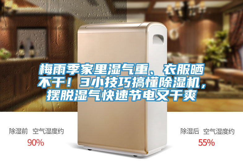 梅雨季家里濕氣重、衣服曬不干！3小技巧搞懂除濕機，擺脫濕氣快速節(jié)電又干爽