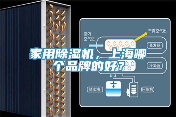 家用除濕機，上海哪個品牌的好？