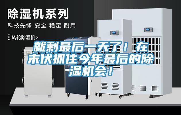 就剩最后一天了！在末伏抓住今年最后的除濕機(jī)會！