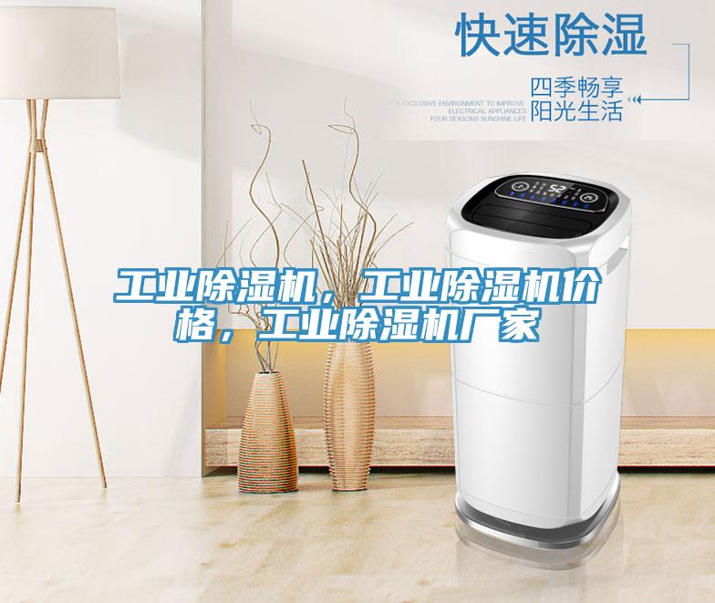 工業(yè)除濕機(jī)，工業(yè)除濕機(jī)價(jià)格，工業(yè)除濕機(jī)廠家