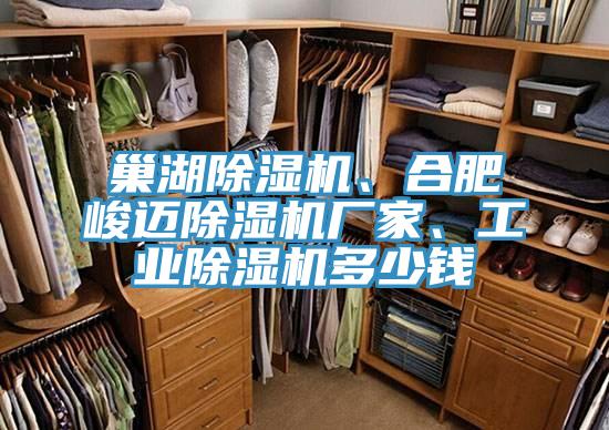 巢湖除濕機(jī)、合肥峻邁除濕機(jī)廠家、工業(yè)除濕機(jī)多少錢
