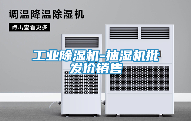 工業(yè)除濕機(jī)-抽濕機(jī)批發(fā)價銷售