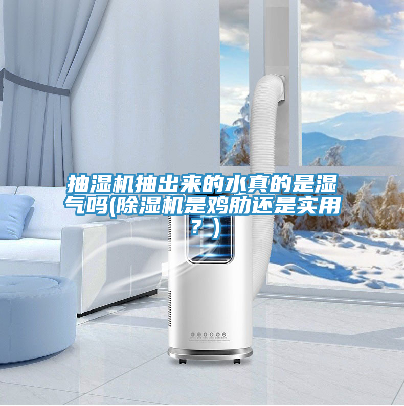 抽濕機(jī)抽出來(lái)的水真的是濕氣嗎(除濕機(jī)是雞肋還是實(shí)用？)