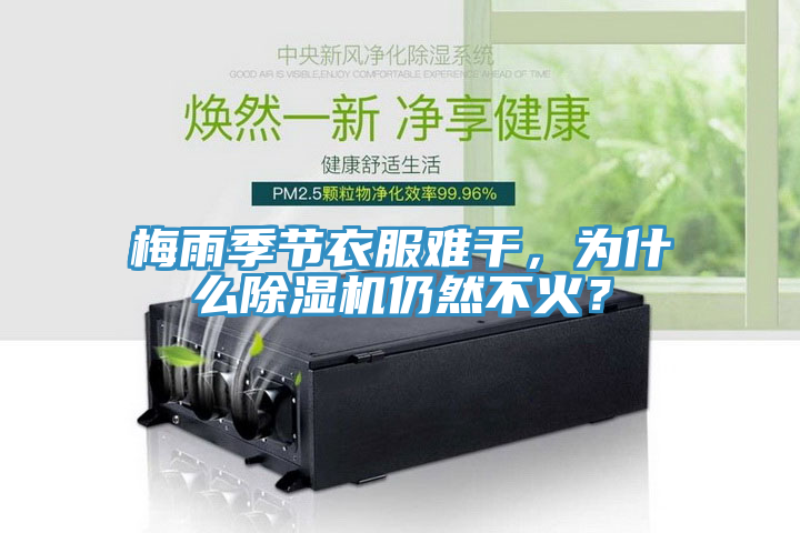 梅雨季節(jié)衣服難干，為什么除濕機(jī)仍然不火？
