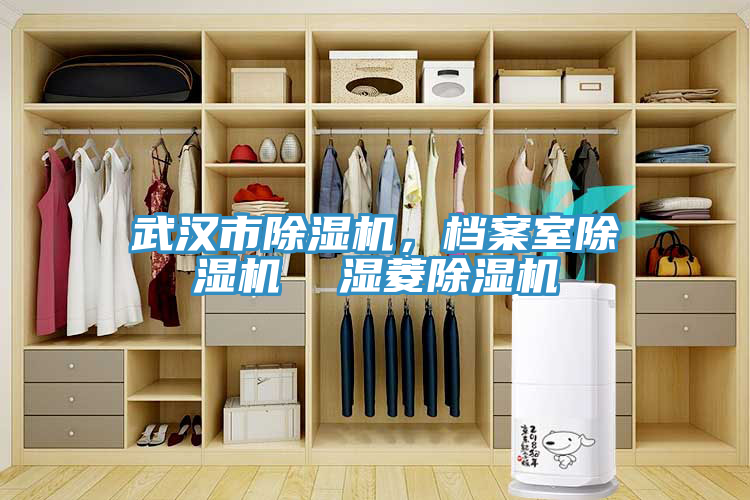 武漢市除濕機，檔案室除濕機  濕菱除濕機