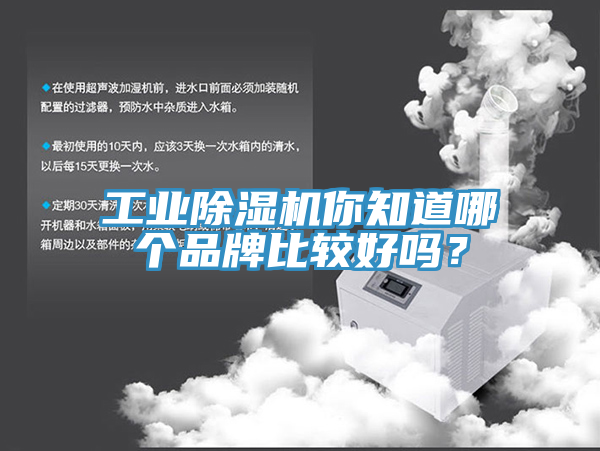 工業(yè)除濕機(jī)你知道哪個(gè)品牌比較好嗎？