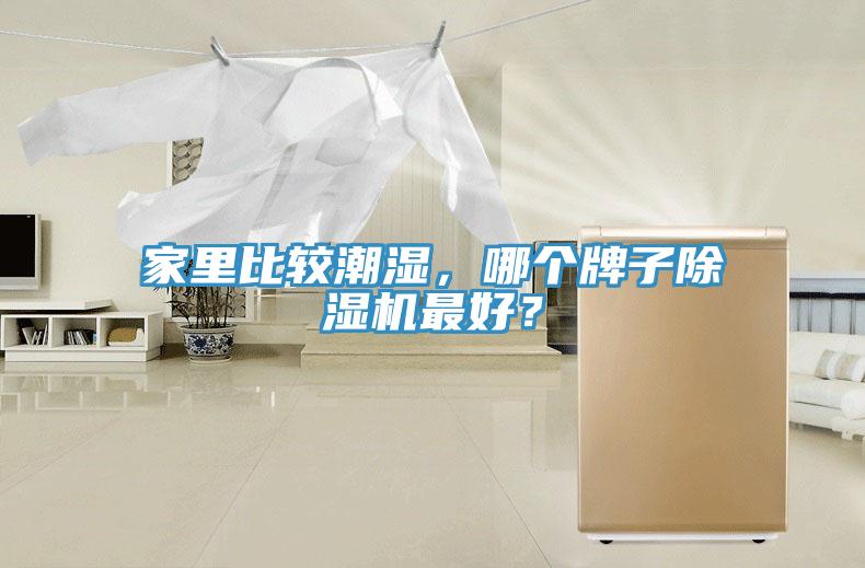家里比較潮濕，哪個牌子除濕機(jī)最好？