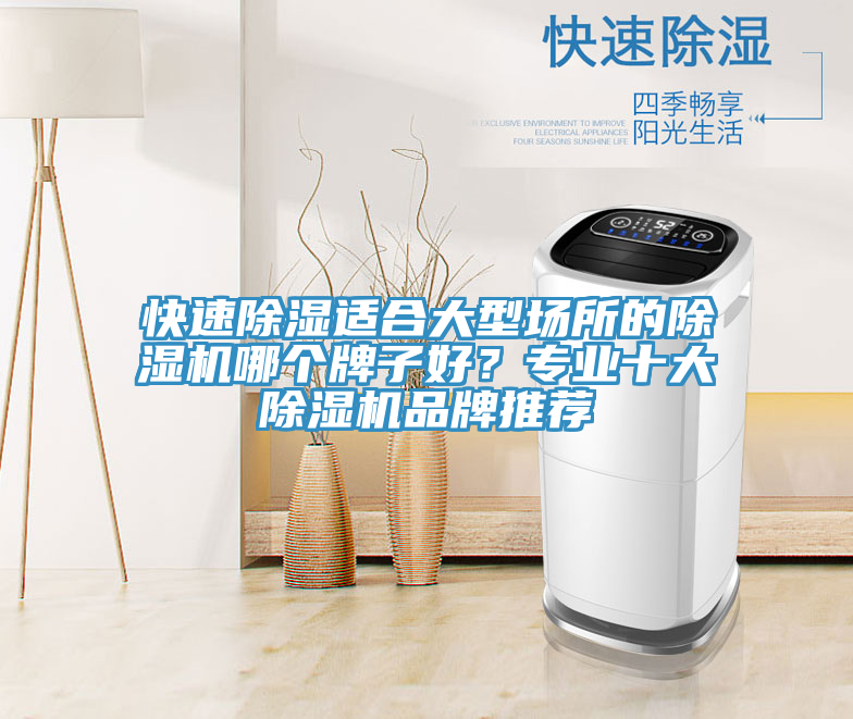 快速除濕適合大型場(chǎng)所的除濕機(jī)哪個(gè)牌子好？專業(yè)十大除濕機(jī)品牌推薦