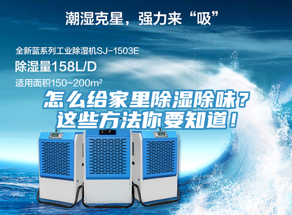 怎么給家里除濕除味？這些方法你要知道！