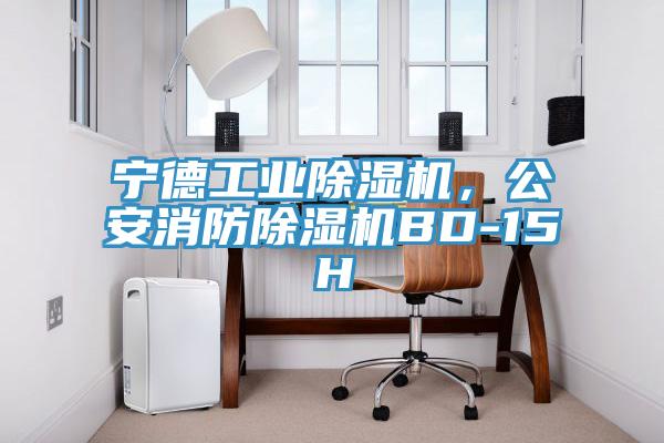 寧德工業(yè)除濕機(jī)，公安消防除濕機(jī)BD-15H