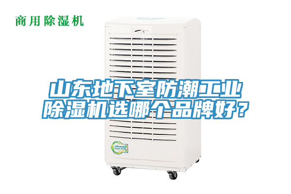 山東地下室防潮工業(yè)除濕機選哪個品牌好？
