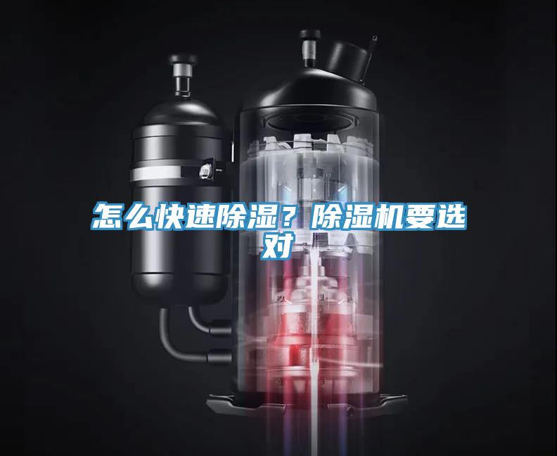 怎么快速除濕？除濕機要選對
