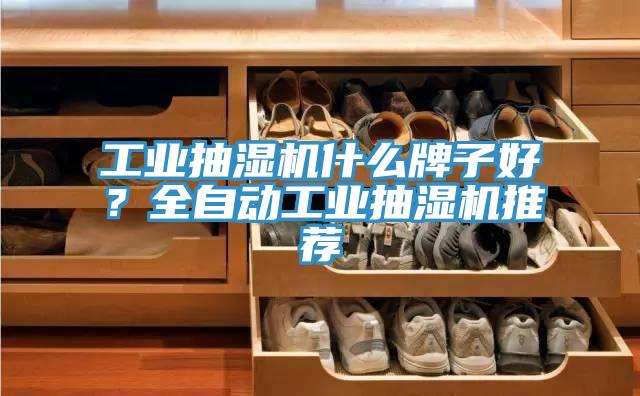 工業(yè)抽濕機(jī)什么牌子好？全自動工業(yè)抽濕機(jī)推薦