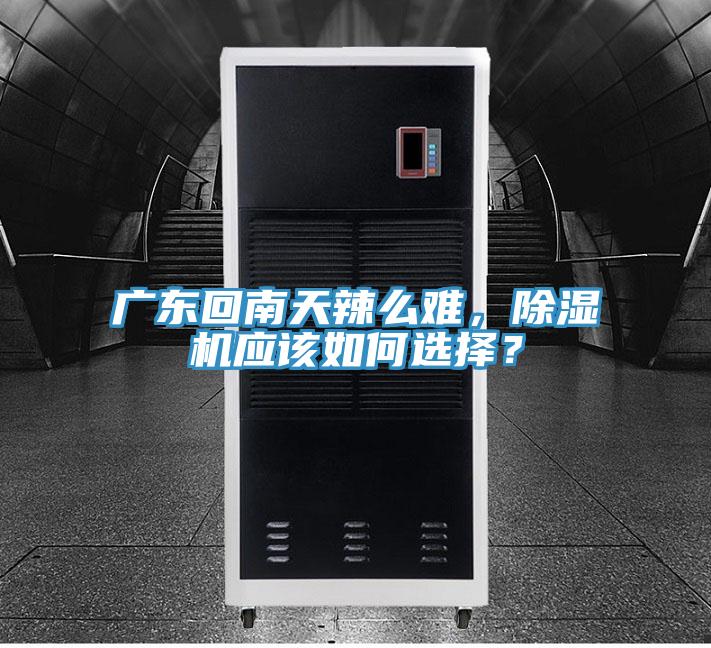 廣東回南天辣么難，除濕機應(yīng)該如何選擇？