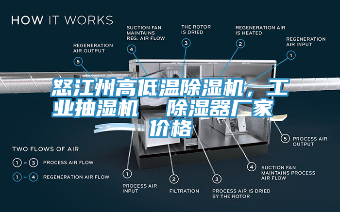 怒江州高低溫除濕機(jī)，工業(yè)抽濕機(jī)  除濕器廠家 價格