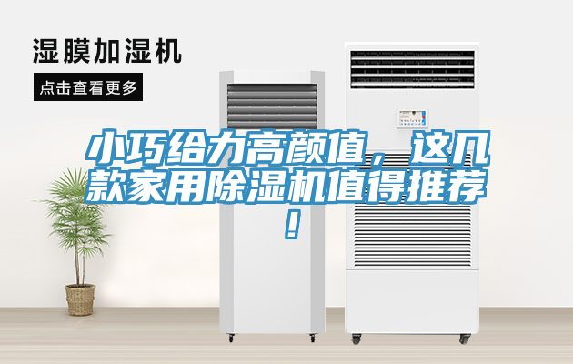 小巧給力高顏值，這幾款家用除濕機(jī)值得推薦！