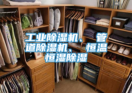 工業(yè)除濕機(jī)、 管道除濕機(jī)、 恒溫恒濕除濕