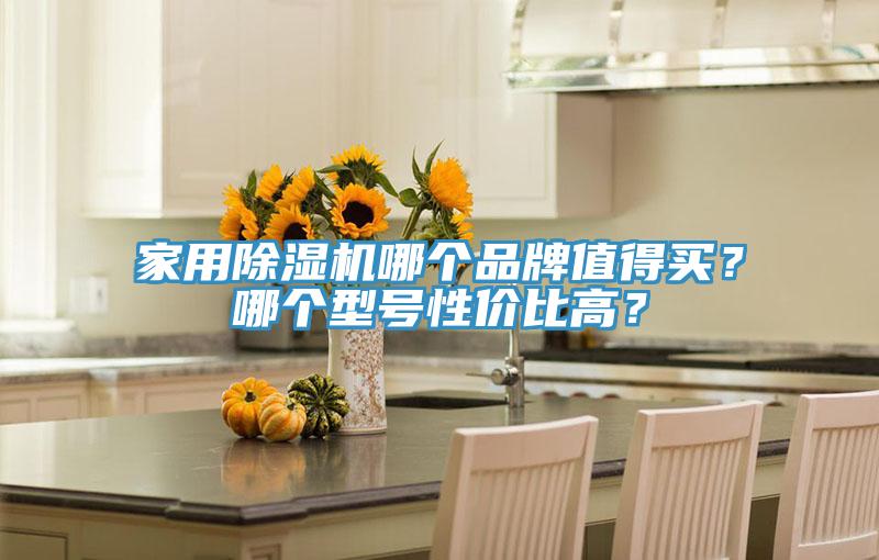 家用除濕機(jī)哪個(gè)品牌值得買？哪個(gè)型號(hào)性價(jià)比高？