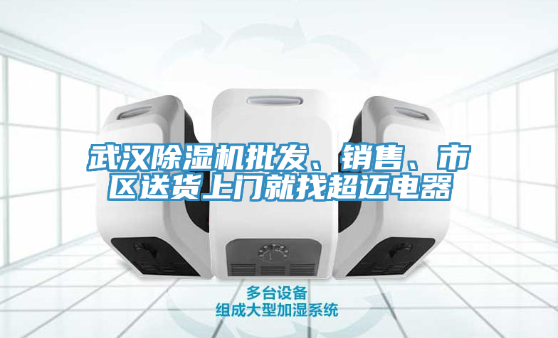 武漢除濕機批發(fā)、銷售、市區(qū)送貨上門就找超邁電器