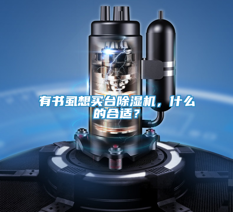 有書虱想買臺除濕機，什么的合適？
