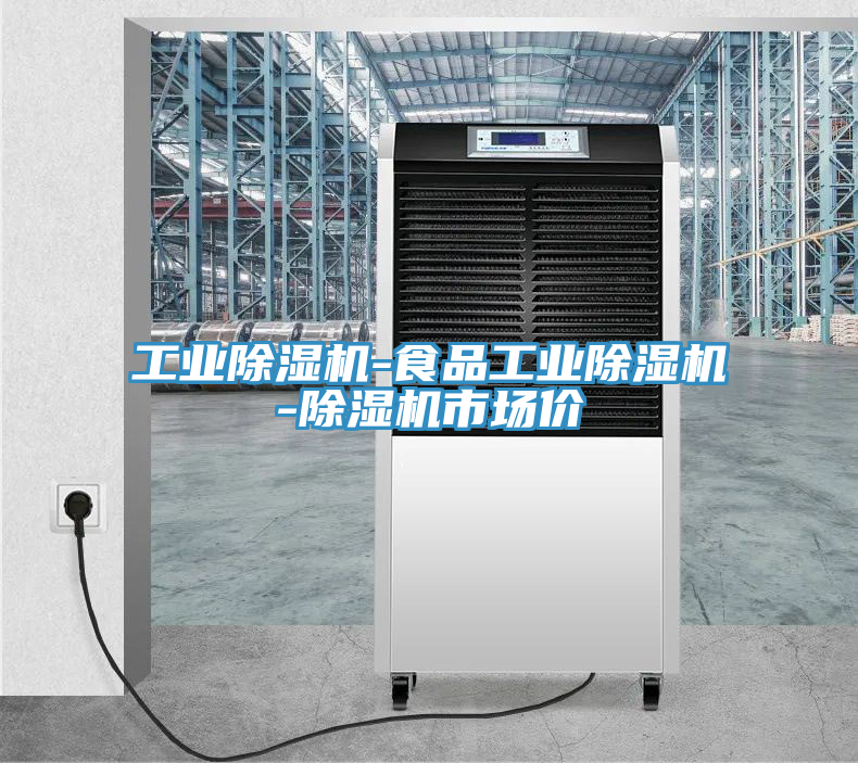 工業(yè)除濕機(jī)-食品工業(yè)除濕機(jī)-除濕機(jī)市場價