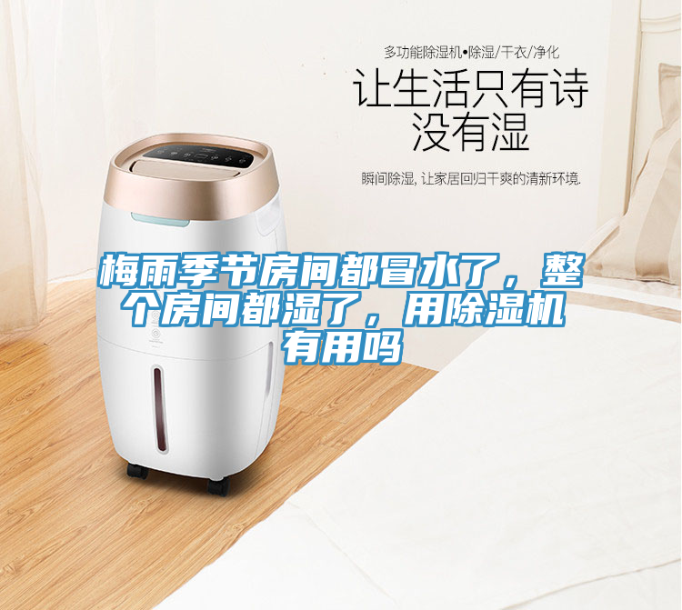 梅雨季節(jié)房間都冒水了，整個房間都濕了，用除濕機有用嗎