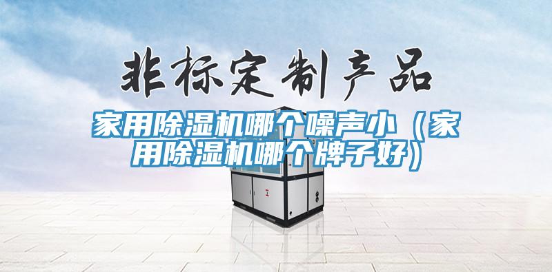 家用除濕機(jī)哪個(gè)噪聲?。矣贸凉駲C(jī)哪個(gè)牌子好）